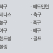 스카로스포츠 이미지