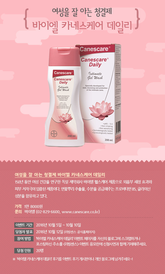 카네스 이미지