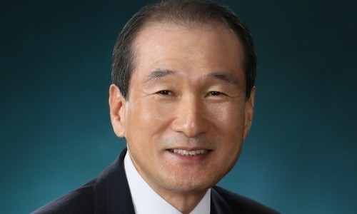 뿌리깊은나무 이미지