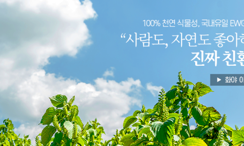 쏘그린 이미지