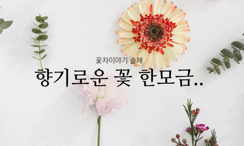 청송꽃차이야기 솔채 이미지