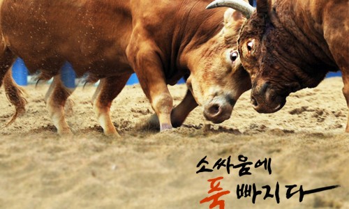 청도기획영상 이미지