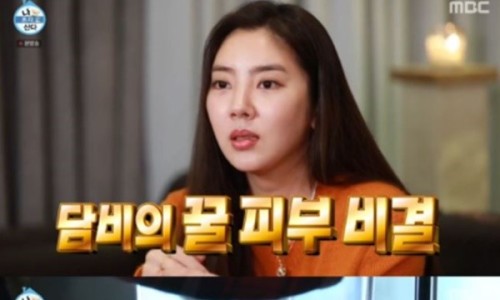 횡성산마루더덕 이미지