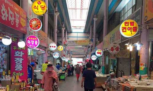 금보야 이미지