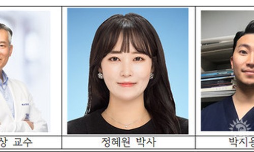 썬개발 이미지