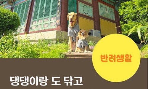 썬스테이 이미지
