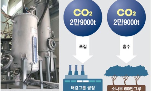 비케이친환경 이미지