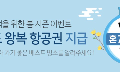 오즈렌터카 이미지