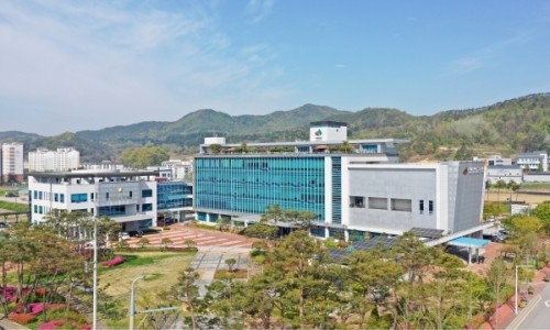임실치즈N푸드 이미지