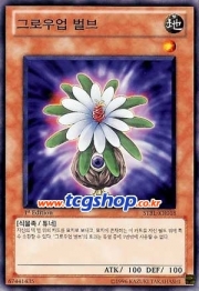 그로우업 이미지