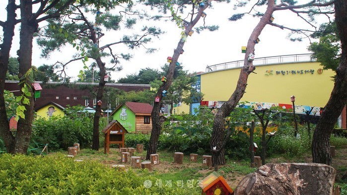 세명글로벌교육 이미지