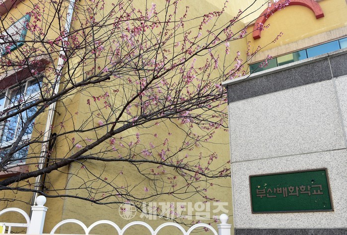 부산배화학교 이미지