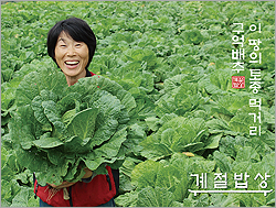 시골배추국 이미지