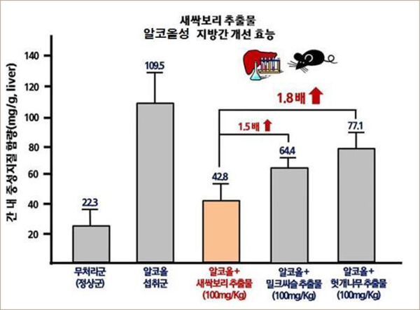 새싹녹즙 이미지