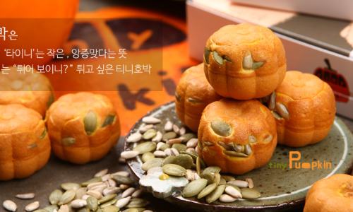 티니호박 이미지