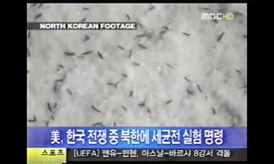 한국전쟁연구소 이미지