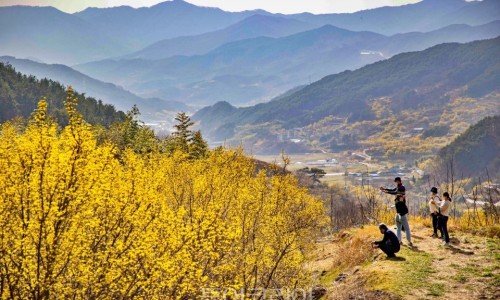 굿모닝할인항공권 이미지