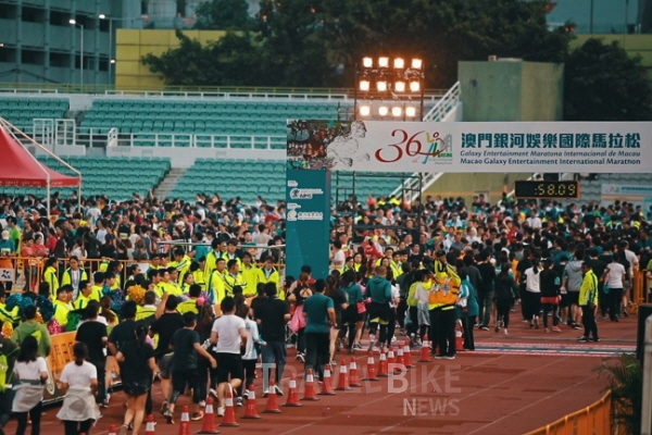 대한국제여행사 이미지