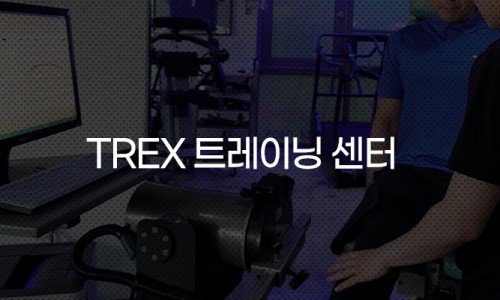 TREX트레이닝센터 이미지