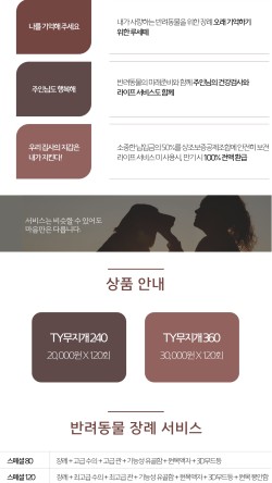 태양라이프 이미지