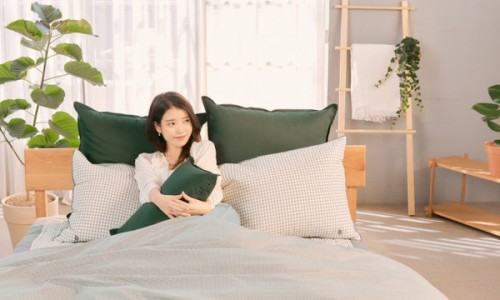 백합이브자리 이미지