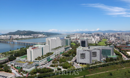 서울세계로병원 이미지