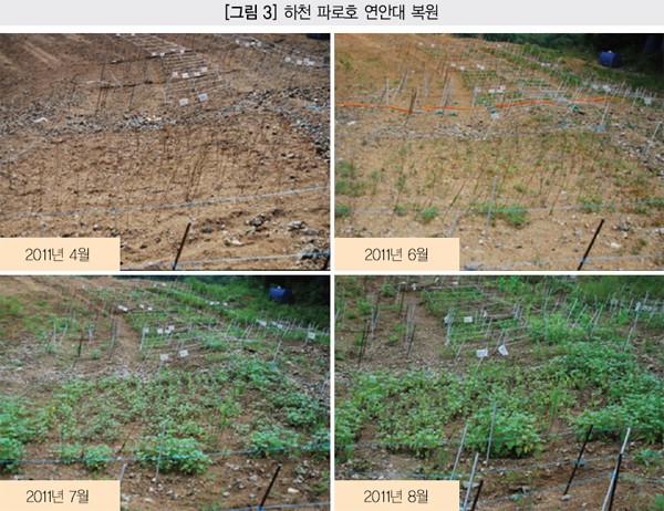 디에스그린(주) 이미지