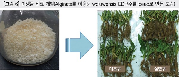 디에스그린(주) 이미지