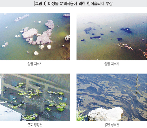 (주)바이오코리아 이미지
