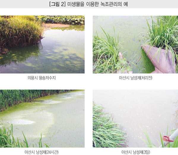 (주)바이오코리아 이미지