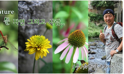 워터큐 이미지