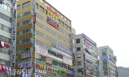 미래기업진단 이미지