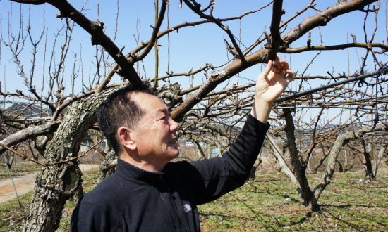 충서원예농업협동조합하나로마트 이미지