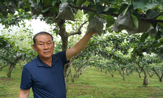 경기동부과수농업협동조합 이미지