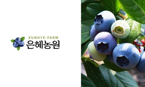 은혜냉동 이미지