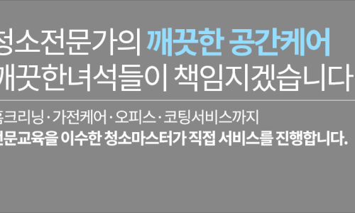 깨끗한녀석들 이미지
