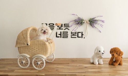 사랑길펜션 이미지
