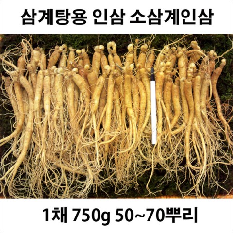 금산수삼시장닷컴 이미지