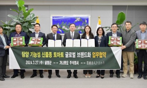 토담토담 이미지