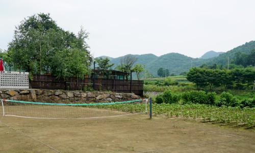 금관숲캠핑장 이미지