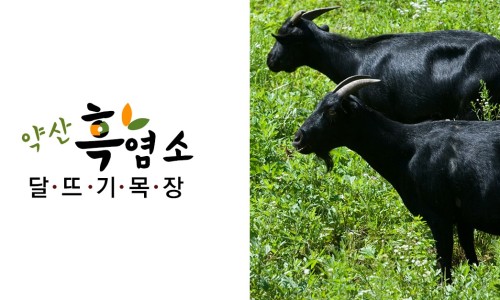조선흑염소 이미지