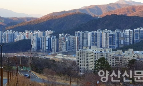 양산분식 이미지