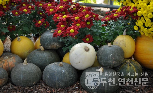 홍천농협농산물가공유통센터 이미지