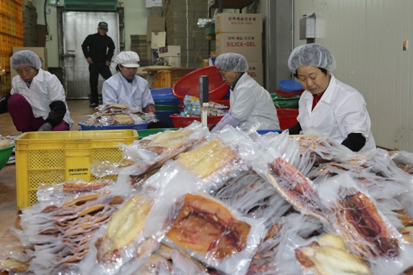 영동산골오징어(주) 이미지