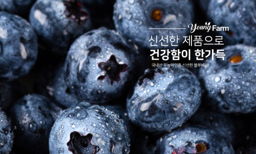 영글어농장 이미지
