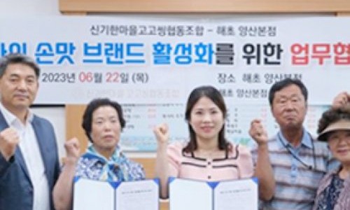 엄마의손맛 이미지