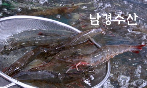 남경수산 이미지