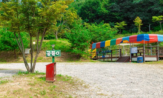 숲캠핑장 이미지