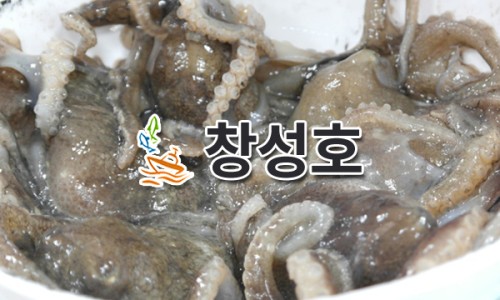 창성호횟집 이미지