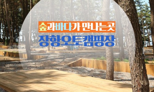 서천해양캠핑장 이미지